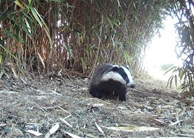 Wildlife at Dunnetts Farm Barn