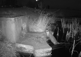 Wildlife at Dunnetts Farm Barn