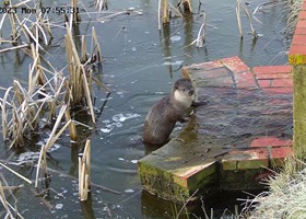 Wildlife at Dunnetts Farm Barn