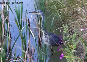 Wildlife at Dunnetts Farm Barn